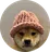 dogwifhat (WIF) Dogwifhat coin icon