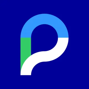 Paysera payment icon square