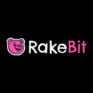 RakeBit review