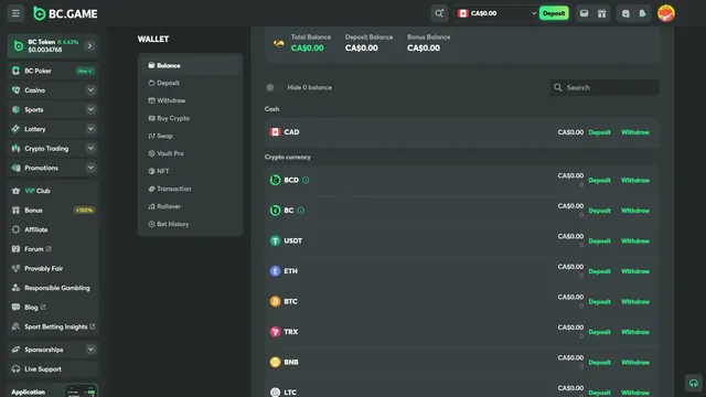 bcgame casino payments