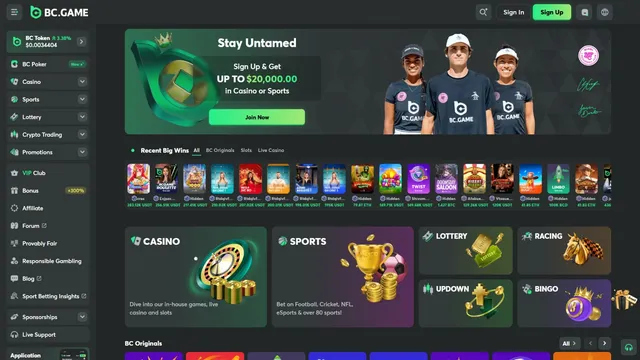 bcgame casino website screen