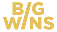 bigwins-casino-logo-new