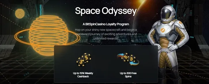 bitspin casino vip program