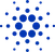 cardano icon