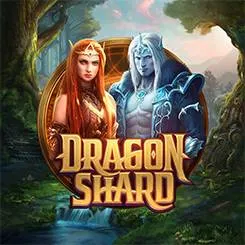 dragon shard slot icon
