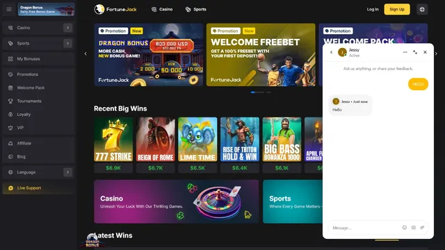 fortunejack casino support