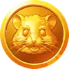 hamster kombat coin icon