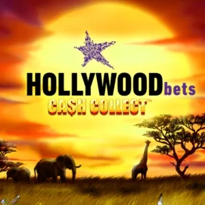 hollywood bets cash collect slot icon