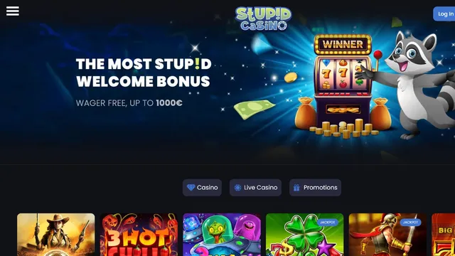 stupid casino website screen
