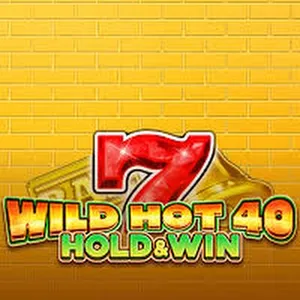 wild hot 40 hold win slot icon
