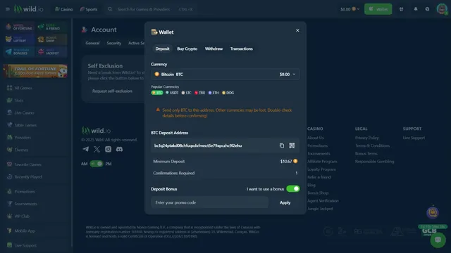 wild.io casino deposit