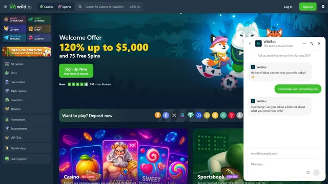 wild.io casino support