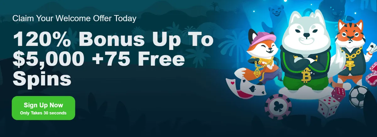 wild io casino welcome bonus