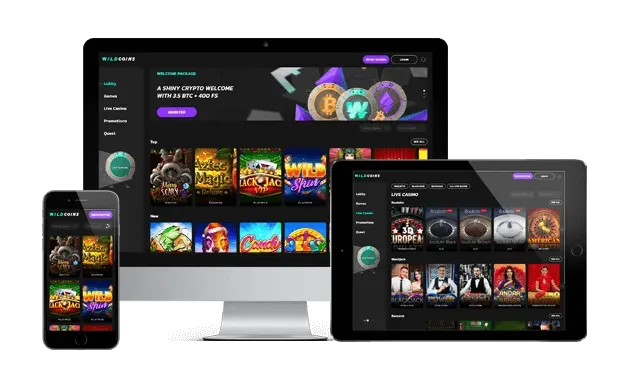 wildcoins casino website screens