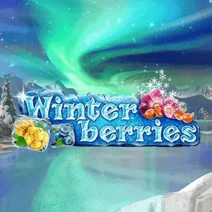 winter berries slot icon