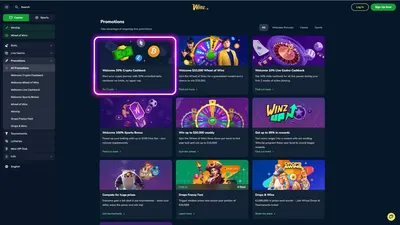 winz casino promotions icon v2