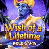 wish of a lifetime slot icon